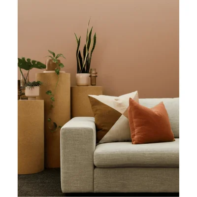 Carnapet Couch